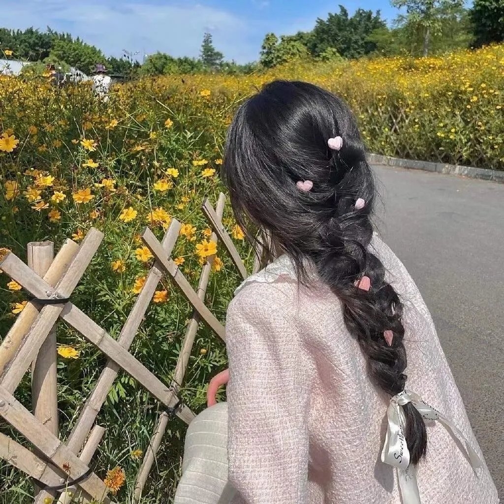 职业大贼